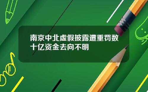 南京中北虚假披露遭重罚数十亿资金去向不明