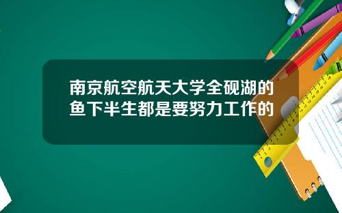 南京航空航天大学全砚湖的鱼下半生都是要努力工作的