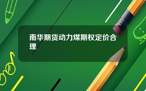 南华期货动力煤期权定价合理