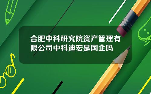 合肥中科研究院资产管理有限公司中科迪宏是国企吗