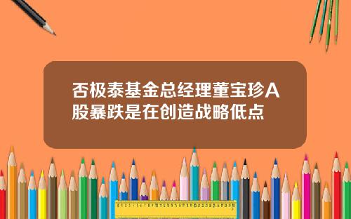 否极泰基金总经理董宝珍A股暴跌是在创造战略低点