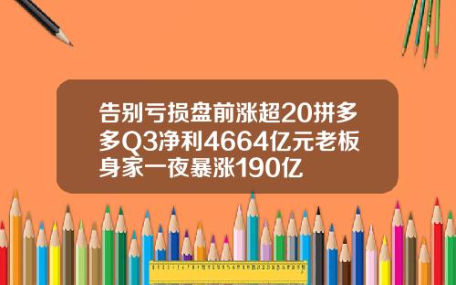 告别亏损盘前涨超20拼多多Q3净利4664亿元老板身家一夜暴涨190亿