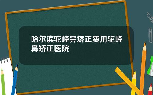 哈尔滨驼峰鼻矫正费用驼峰鼻矫正医院