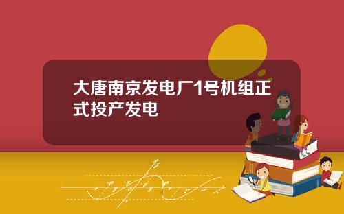 大唐南京发电厂1号机组正式投产发电