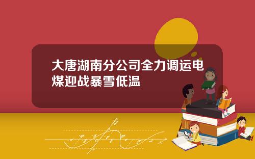 大唐湖南分公司全力调运电煤迎战暴雪低温
