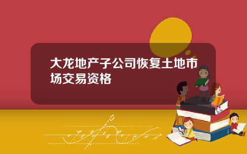 大龙地产子公司恢复土地市场交易资格