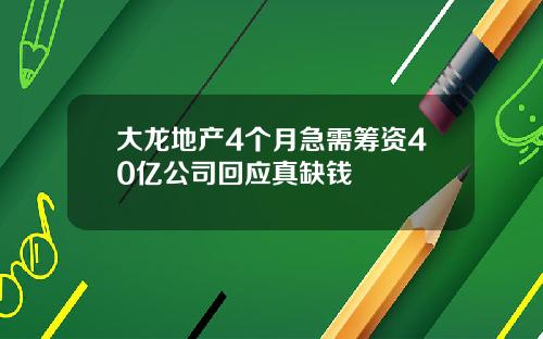 大龙地产4个月急需筹资40亿公司回应真缺钱