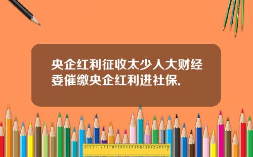 央企红利征收太少人大财经委催缴央企红利进社保.