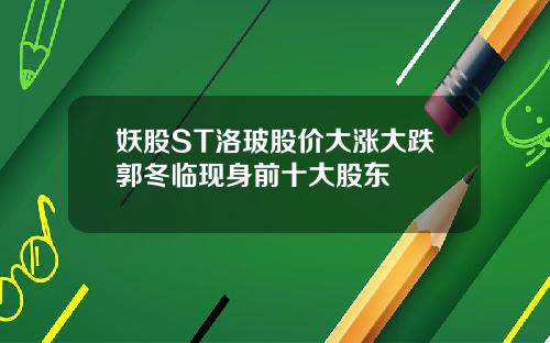 妖股ST洛玻股价大涨大跌郭冬临现身前十大股东