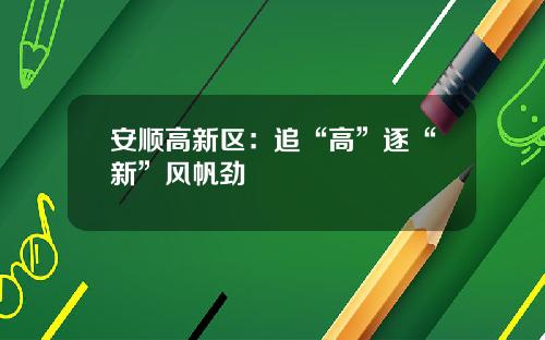 安顺高新区:追“高”逐“新”风帆劲
