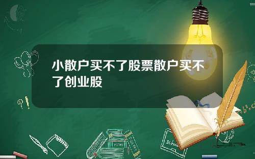 小散户买不了股票散户买不了创业股
