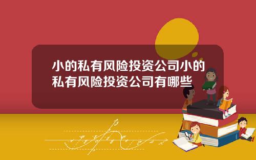 小的私有风险投资公司小的私有风险投资公司有哪些