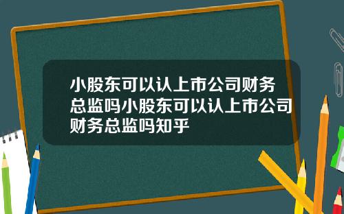 小股东可以认上市公司财务总监吗小股东可以认上市公司财务总监吗知乎