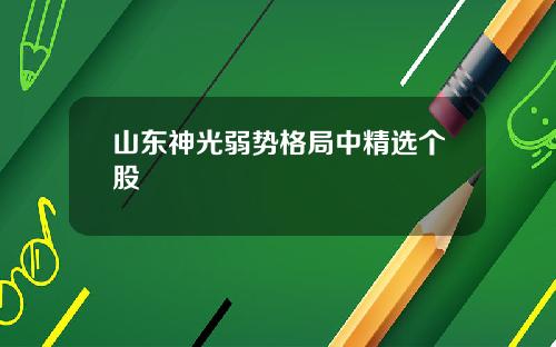 山东神光弱势格局中精选个股