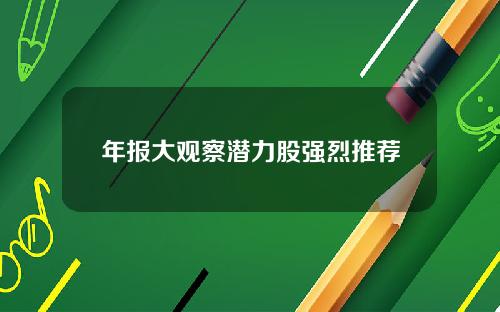 年报大观察潜力股强烈推荐