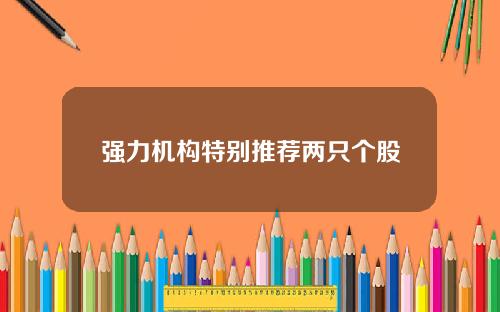 强力机构特别推荐两只个股