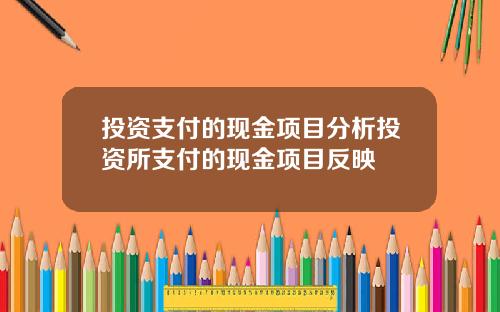 投资支付的现金项目分析投资所支付的现金项目反映