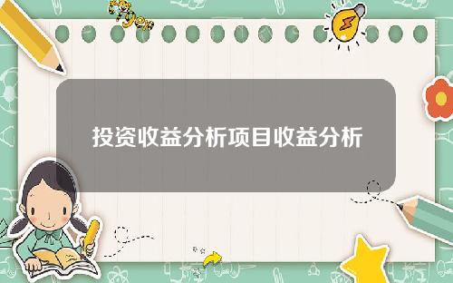 投资收益分析项目收益分析