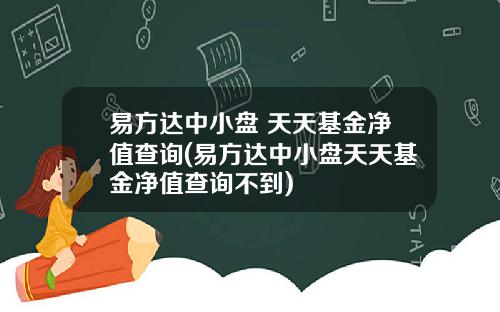 易方达中小盘 天天基金净值查询(易方达中小盘天天基金净值查询不到)