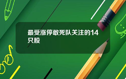 最受涨停敢死队关注的14只股