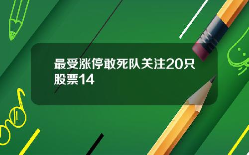 最受涨停敢死队关注20只股票14
