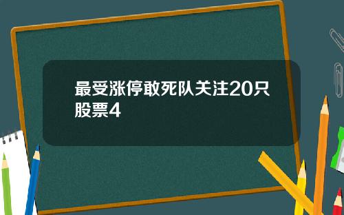 最受涨停敢死队关注20只股票4