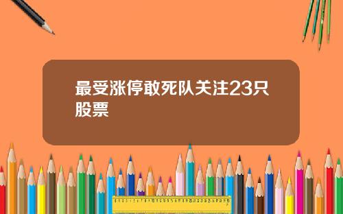 最受涨停敢死队关注23只股票