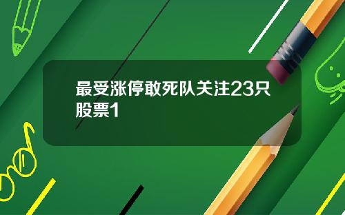 最受涨停敢死队关注23只股票1