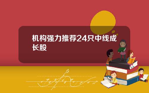 机构强力推荐24只中线成长股