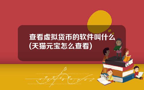 查看虚拟货币的软件叫什么(天猫元宝怎么查看)