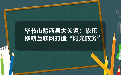 毕节市黔西县大关镇：依托移动互联网打造“阳光政务”