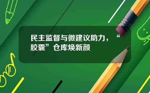 民主监督与微建议助力，“胶囊”仓库焕新颜