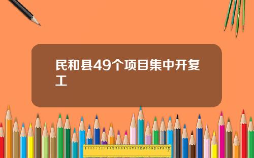 民和县49个项目集中开复工