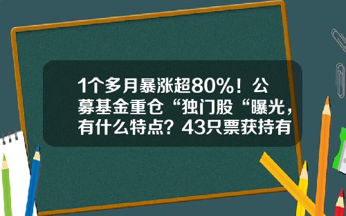 1个多月暴涨超80%！公募基金重仓“独门股“曝光，有什么特点？43只票获持有市值均超亿元-基金做的票
