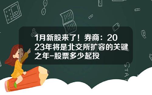 1月新股来了！券商：2023年将是北交所扩容的关键之年-股票多少起投
