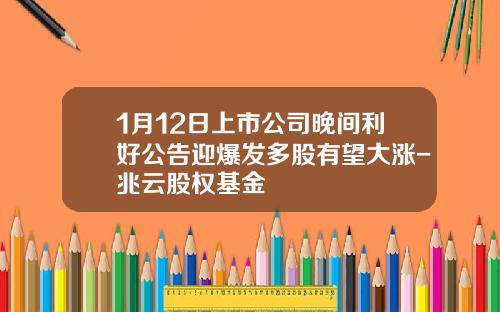 1月12日上市公司晚间利好公告迎爆发多股有望大涨-兆云股权基金