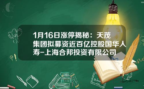 1月16日涨停揭秘：天茂集团拟募资近百亿控股国华人寿-上海合邦投资有限公司