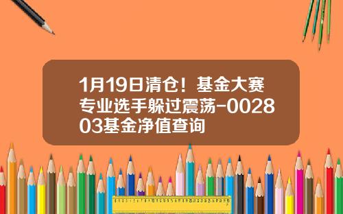 1月19日清仓！基金大赛专业选手躲过震荡-002803基金净值查询