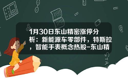 1月30日东山精密涨停分析：新能源车零部件，特斯拉，智能手表概念热股-东山精密股票资讯【新闻】