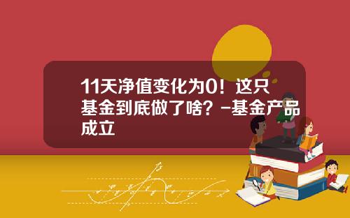 11天净值变化为0！这只基金到底做了啥？-基金产品成立