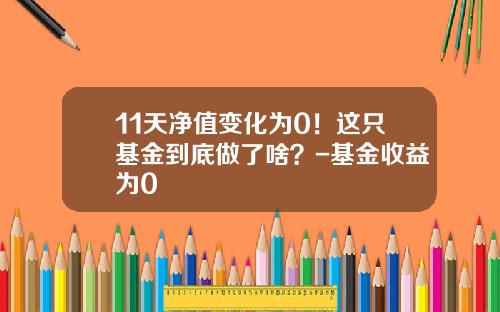 11天净值变化为0！这只基金到底做了啥？-基金收益为0