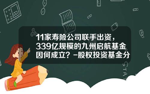 11家寿险公司联手出资，339亿规模的九州启航基金因何成立？-股权投资基金分类