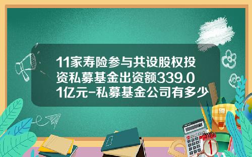 11家寿险参与共设股权投资私募基金出资额339.01亿元-私募基金公司有多少