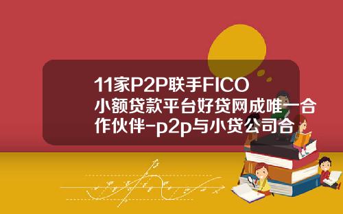 11家P2P联手FICO小额贷款平台好贷网成唯一合作伙伴-p2p与小贷公司合作