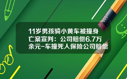 11岁男孩骑小黄车被撞身亡案宣判：公司赔偿6.7万余元-车撞死人保险公司赔偿标准