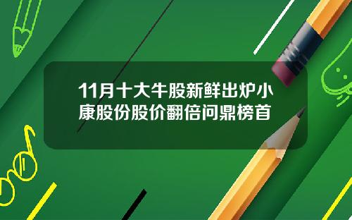 11月十大牛股新鲜出炉小康股份股价翻倍问鼎榜首