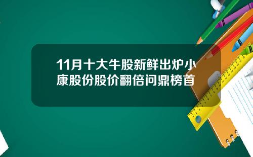 11月十大牛股新鲜出炉小康股份股价翻倍问鼎榜首
