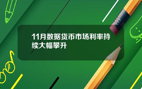 11月数据货币市场利率持续大幅攀升