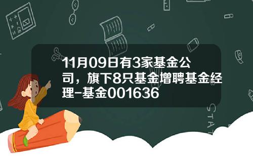 11月09日有3家基金公司，旗下8只基金增聘基金经理-基金001636