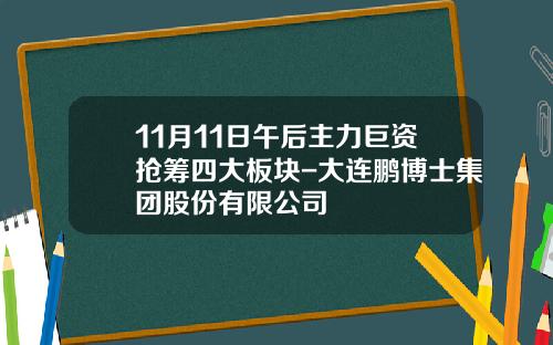 11月11日午后主力巨资抢筹四大板块-大连鹏博士集团股份有限公司
